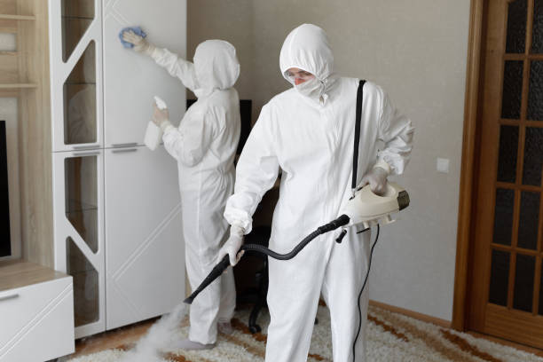 Mold Odor Removal Services in Union, NJ